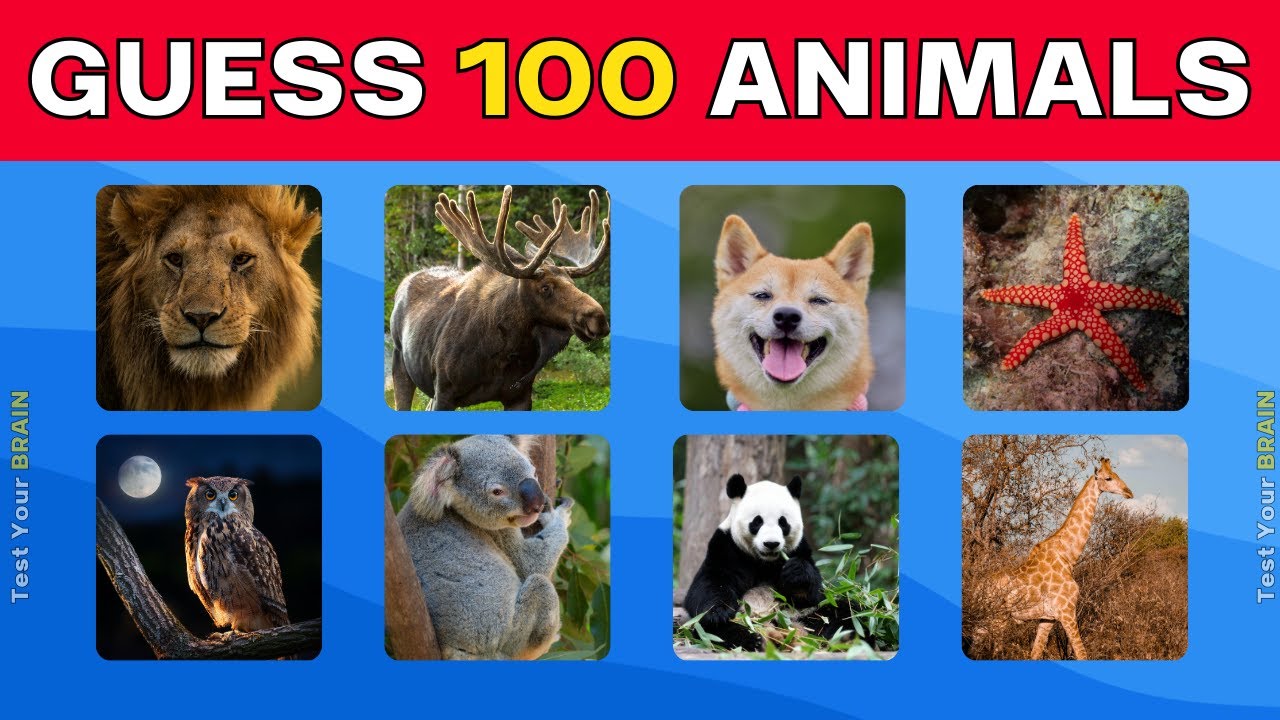 Guess 100 Animals in 10 Seconds | Animal Quiz | TEST YOUR BRAIN