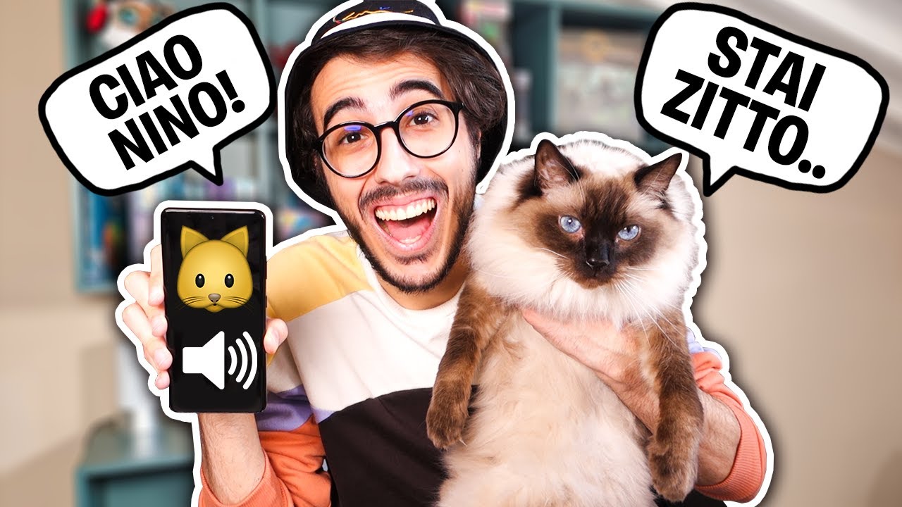 PARLIAMO CON I NOSTRI GATTI CON UN TRADUTTORE!