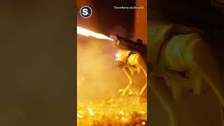 Flame Throwing Robot Dog Available to Buy in US by Storyful 119 views 1 day ago 1 minute, 44 seconds