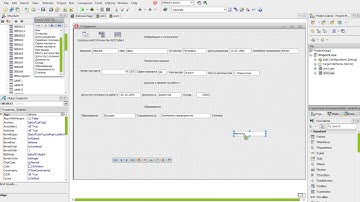 Создание базы данных Отдел кадров в Delphi HD