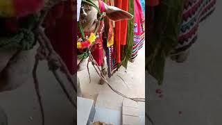 Digital India | Even Modi ji wouldnt have expected this!!! 😀😃🤩😘🥰😊🥳😍