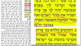 בכורות ד 4 ראשון ט״ז ניסן תשע״ט Daf yomi Bechoros daf 4 ShmuelNavon שמואל נבון בכורות דף ד