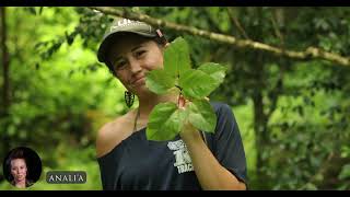 Papala Lele Internship 2025