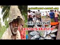 കായൽ മത്സ്യലേലം | കീരിക്കാട് കായൽ ചന്ത | keerikad Kayal Chantha | Lake Fish Market Kerala