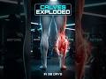 “Calves Not Growing? Do THIS 🔥 (Gastrocnemius + Soleus Hack)”