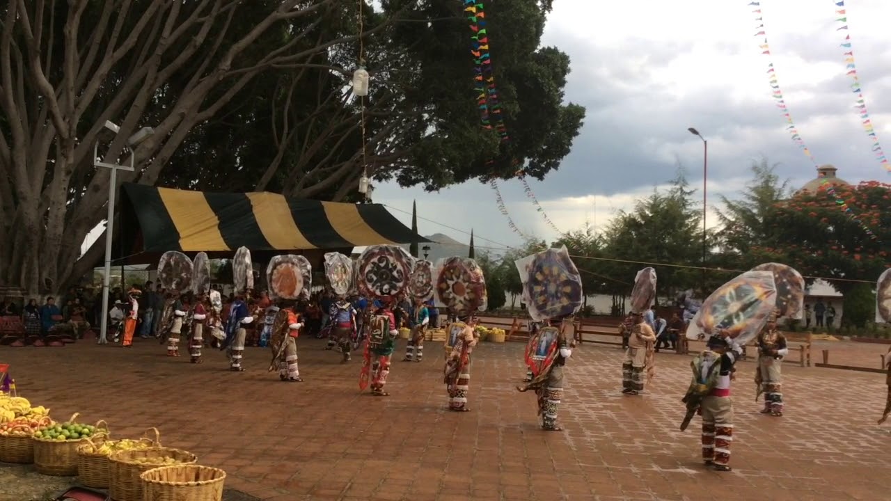 Danza zapoteca - Danza de la Pluma de Teotitlán del Valle