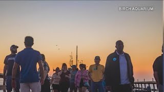 Sunset Scripps Pier Walks return: how to participate