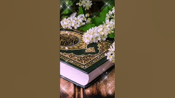 سورة الرحمن بصوت الشيخ حسام الدين العبادي #القرآن_الكريم #قرآن #quran