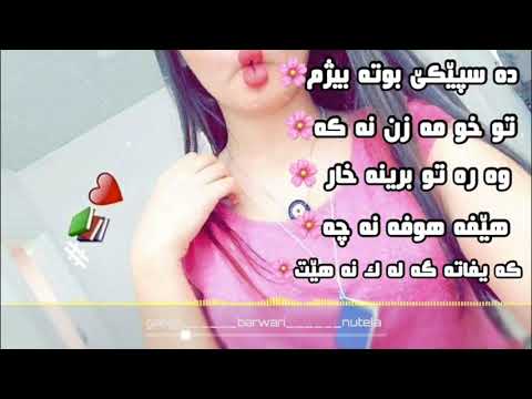 كةيفا تة كةلةك نةهيت نةكو تودئ كئژ بي خوشترين ستراان لايكا زبير نةكةن