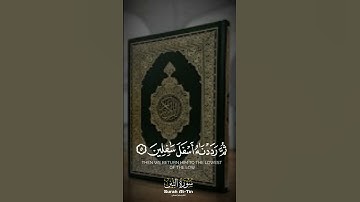 من مقاصد سورتي التين : تلاوة فضيلة الشيخ د. #ماهر_المعيقلي -حفظه الله-.