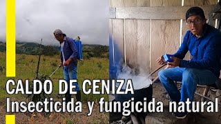 CALDO DE CENIZA || INSECTICIDA, FUNGICIDA Y FERTILIZANTE ORGÁNICO