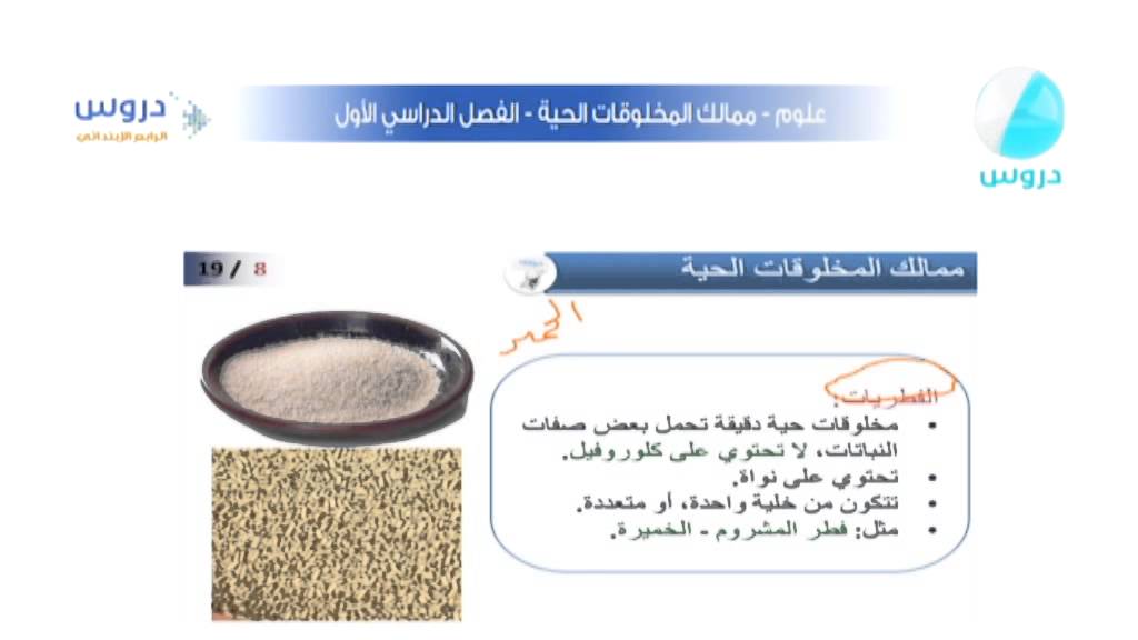 المخلوقات تصنف ولا يصنع حيا اي بنفسه غذائه متعدد الحيه مخلوقا الخلايا اي المخلوقات