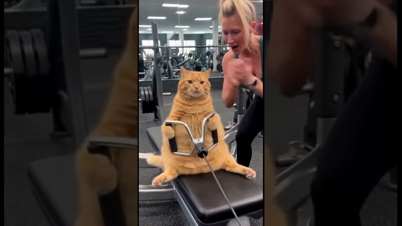 Who needs a gym buddy like this?💪