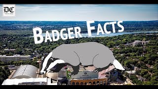 UW-Madison Badger Facts | The Daily Cardinal