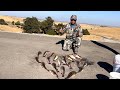 CATFISH ACTION 🎣NONSTOP 🎣 AT FOR 2 HRS NO TIME TO RECORD THE VIDEO 😂🤣 10/28/23