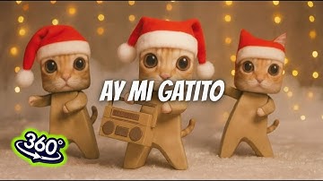 360 VR | Ay mi Gatito Miau Miau | Official video Remix