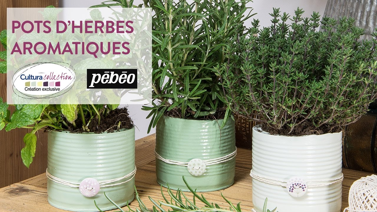 Lot de 20 pièges à Mouches Autocollants pour fenêtre - Piège à ctes