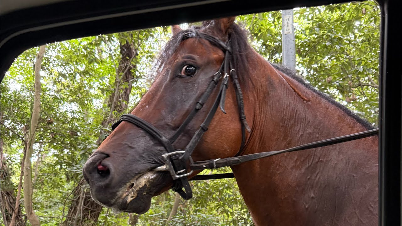 上達速度を加速させる騎乗姿勢２