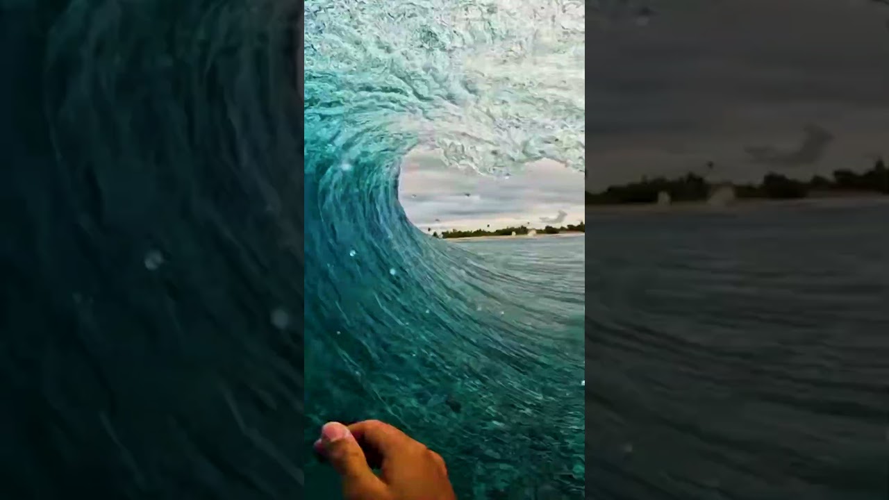 Clips