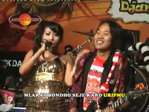 Cindro - Indah Andira | Dangdut (Official Music Video)