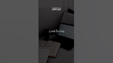 سورة الضحى بصوت الشيخ ماهر المعيقلي