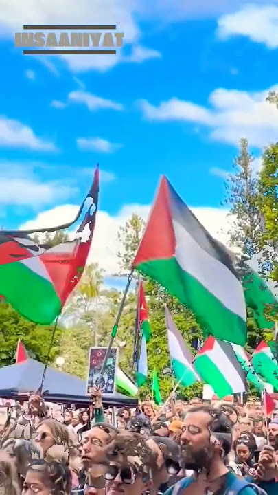 Why Palestine Still Whispers to the World