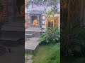 Temple #song #marathisong #saresankatkoharneganeshnikale