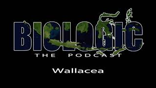 Download Lagu Wallacea Download Lagu Wallacea