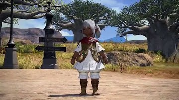 Final Fantasy XIV PS4 Beta - Ul