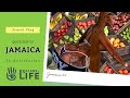 Quick Trip To JAMAICA!🇯🇲 | Second Life Destination