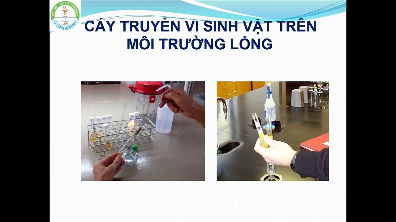 LT thực hành Vi sinh Buổi 1 2 | Kỹ thuật cơ bản + MIC + Kháng sinh đồ + Tổng số vi khuẩn hiếu khí