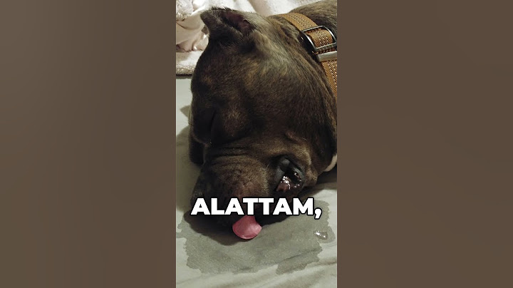 10.000 Kalória Kihívás - 30 PERC ALATT!