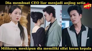 Download Lagu Dia membuat CEO liar menjadi anjing setia miliknya, meskipun dia memiliki sifat keras kepala #drama Download Lagu Dia membuat CEO liar menjadi anjing setia miliknya, meskipun dia memiliki sifat keras kepala #drama