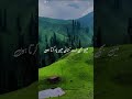 Think Good of Allah – Allah Treats You Accordingly | Powerful Hadith Reminder# Deen # faith#quran#