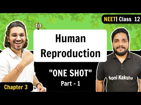 Human Reproduction | ONE SHOT | Part 1 | NEET 2023 | Chapter 3 | Class 12
