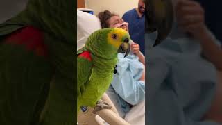 Caught On Camera Funniest Baby Delivery Moment Ever Parrot Talks Through Everything
