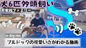 子供5人犬6匹 大家族 母ちゃんの自己紹介と今後の動画について Youtube 子供5人犬6匹 大家族 母ちゃんの自己紹介と今後の動画について Youtube