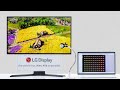 LG Display Begins Mass Production of Worlds First 240 Hz RGB Stripe OLED