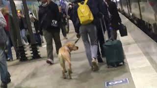 Paris Montparnasse Train Station
