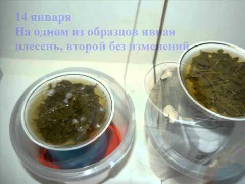Работает ли ионизатор