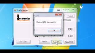How to flush your DNS with Smartelly Windows Software Smartdns system screenshot 3