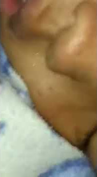 Video lucu sumber air