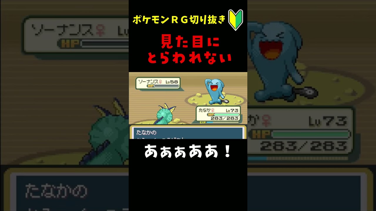 見た目にとらわれない②🔰