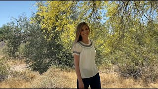 Scatter Sunshine by Vanessa Joy