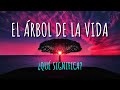 ¿Que Significa el ARBOL DE LA VIDA en la BIBLIA?