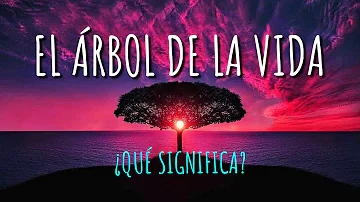 ¿Qué habla la Biblia sobre los árboles?