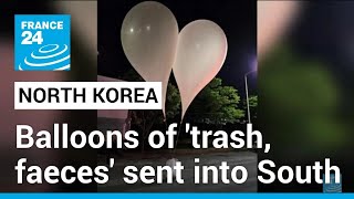 North Korea sends balloons of 'trash, faeces' into South • FRANCE 24 English