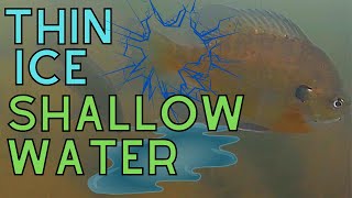 Mississippi River Backwater Panfish off the Beaten Path Underwater Footage | Thin Ice Shallow Water