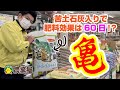 肥料効果は60日！苦土石灰も入ってるオールインワン肥料「亀」ってなんだ！？【農業屋】 #亀 #肥料