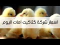 اسعار شركة كتاكيت امات 